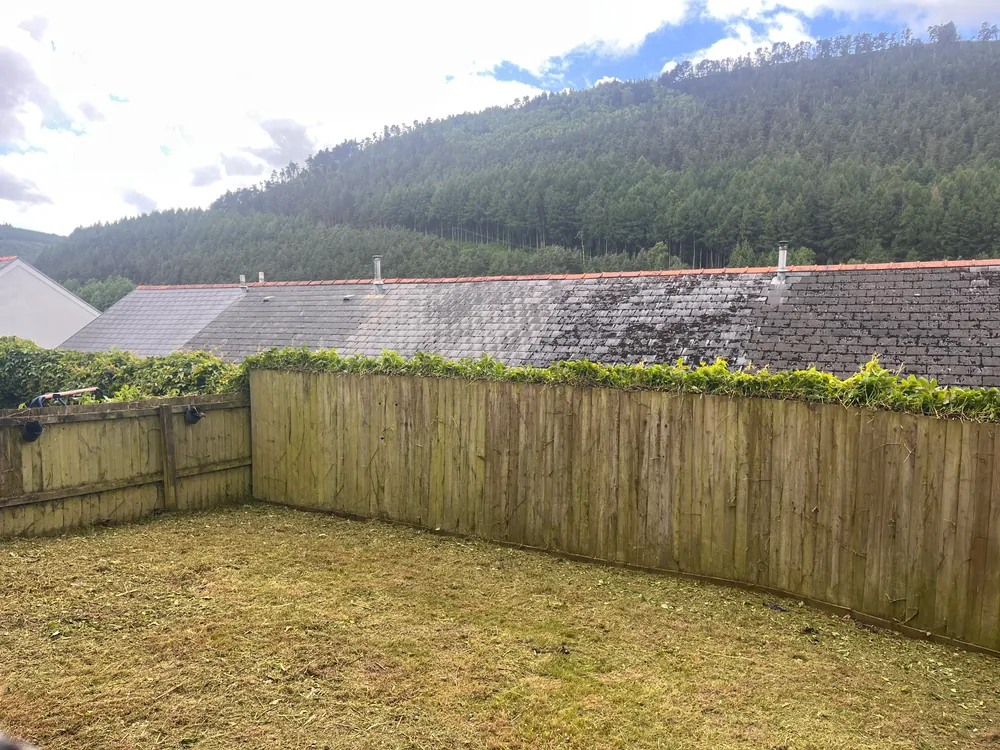 After: Garden after vegetation clearance and mowing