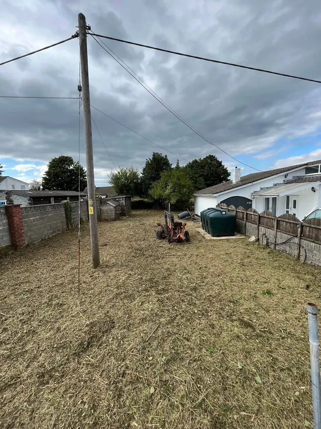 After: Cleared garden with vegetation and cuttings removed