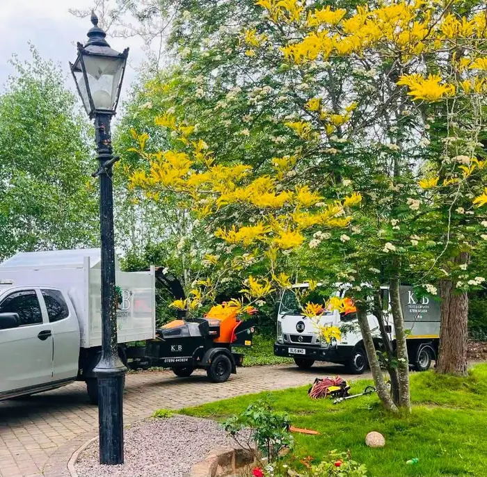 KB Trees and Grounds team and vehicles working in a residential garden