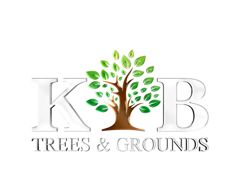 KB Trees and Grounds