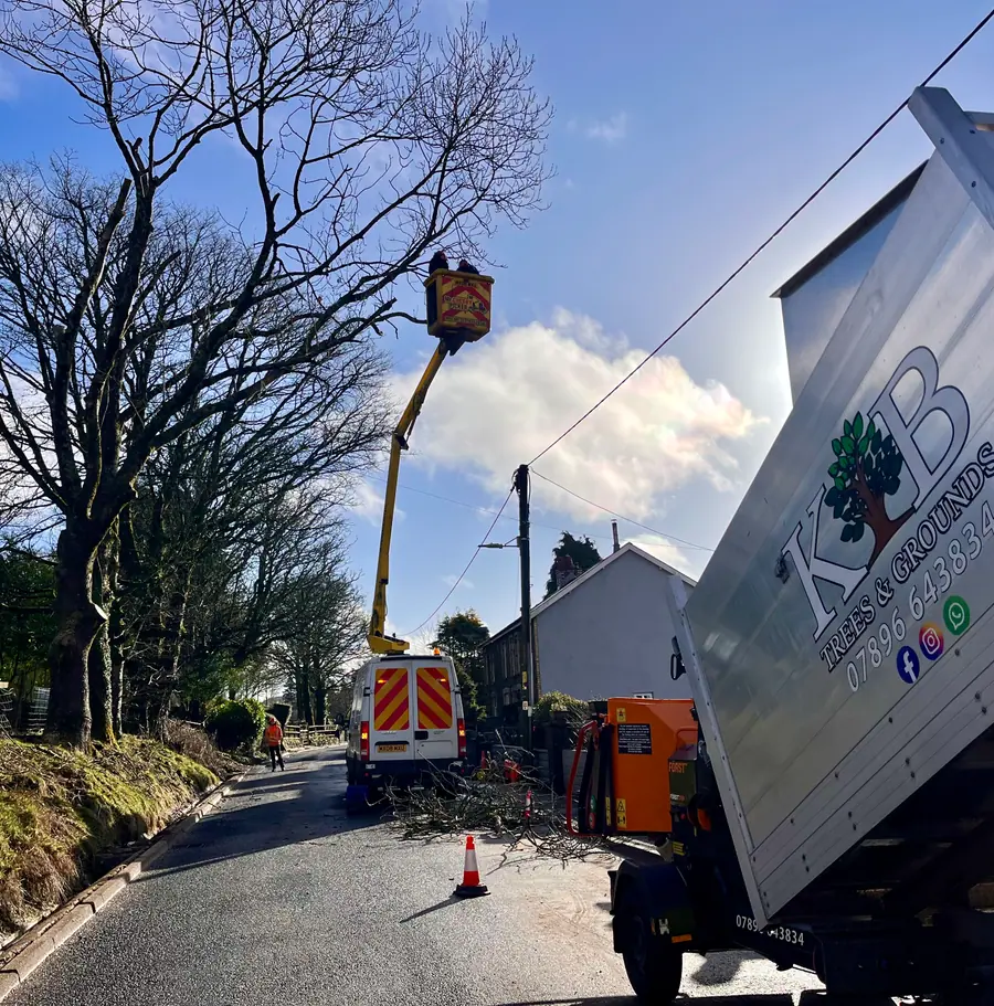 KB Trees and Grounds team using elevated access equipment for tree work