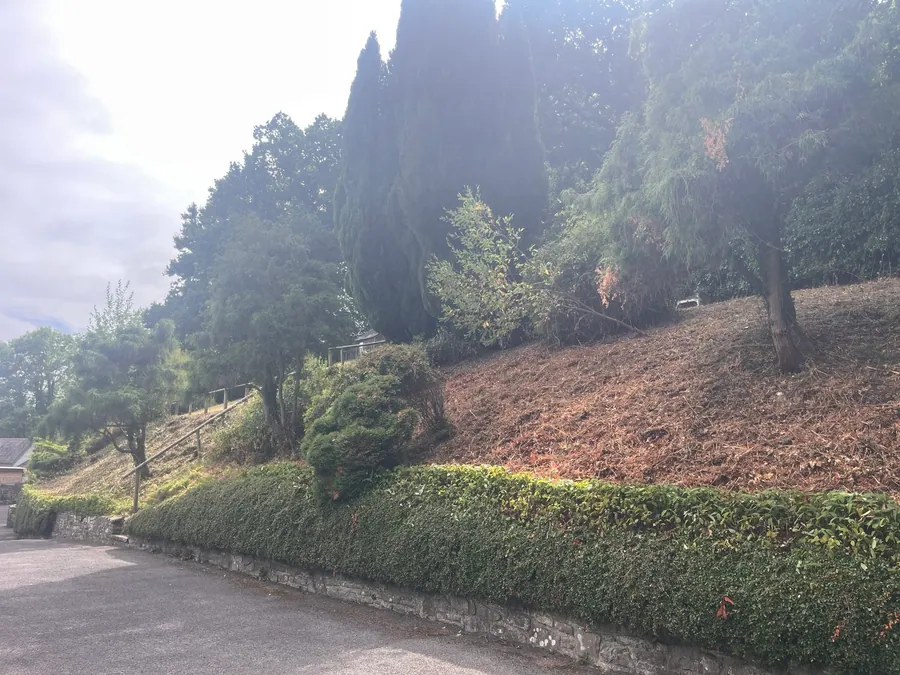 After vegetation management: cleared roadside bank and trimmed boundary hedge