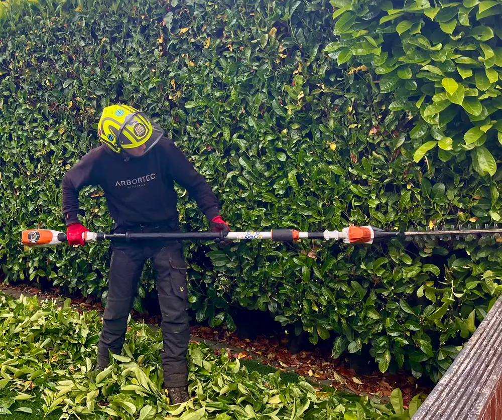 Team member trimming a tall hedge with a long-reach hedge trimmer